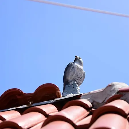 валена град 3* チェルノモレツ