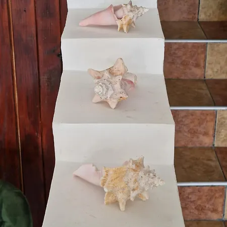 валена град ゲストハウス 3*