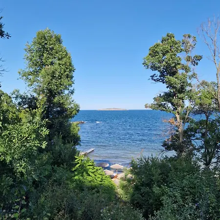 ゲストハウス валена град 3*