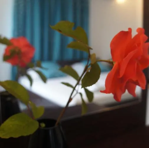 валена град بيت ضيافة تشيرنوموريتس