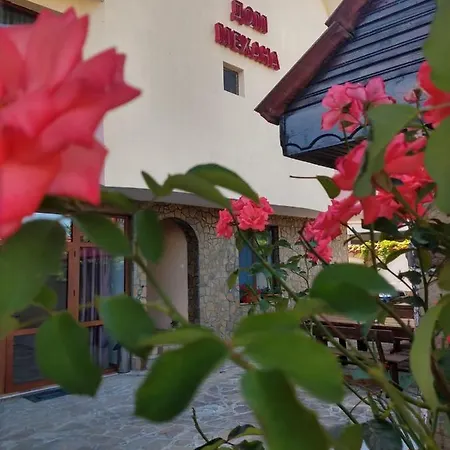 Pensionat валена град