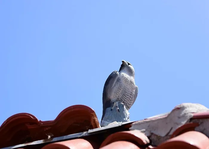валена град 3* Chernomorets